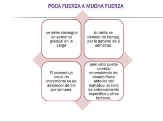 Functional training idde progresiones