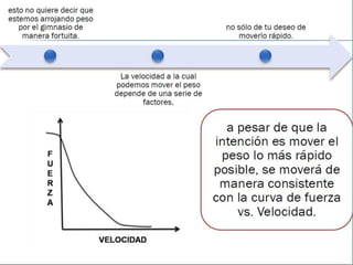 Functional training idde progresiones
