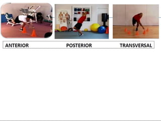 Functional training idde progresiones