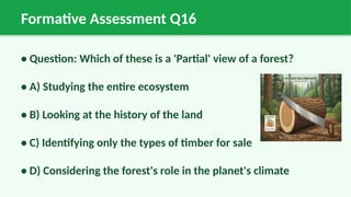 Formative Assessment Q16
• Question: Which of these is a 'Partial' view of a forest?
• A) Studying the entire ecosystem
• B) Looking at the history of the land
• C) Identifying only the types of timber for sale
• D) Considering the forest's role in the planet's climate
 