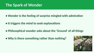 The Spark of Wonder
• Wonder is the feeling of surprise mingled with admiration
• It triggers the mind to seek explanations
• Philosophical wonder asks about the 'Ground' of all things
• Why is there something rather than nothing?
 