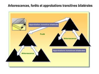 Arborescences, forêts et approbations transitives bilatérales
Arborescences, forêts et approbations
transitives bilatérales
contoso.msftcontoso.msft
(racine)
au.
contoso.msft
au.
contoso.msft
asia.
contoso.msft
asia.
contoso.msft
Arborescence
Approbations transitives bilatéralesApprobationsApprobations transitivestransitives bilatéralesbilatérales
au.
nwtraders.msft
au.
nwtraders.msft
asia.
nwtraders.msft
asia.
nwtraders.msft
nwtraders.msftnwtraders.msft
Forêt
Arborescence
Approbation transitive bilatéraleApprobation transitiveApprobation transitive bilatéralebilatérale
 