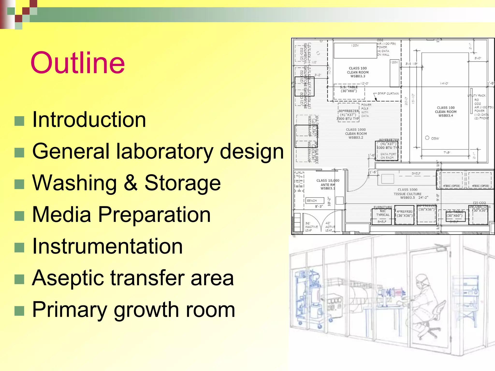 Outline
 Introduction
 General laboratory design
 Washing & Storage
 Media Preparation
 Instrumentation
 Aseptic transfer area
 Primary growth room
 