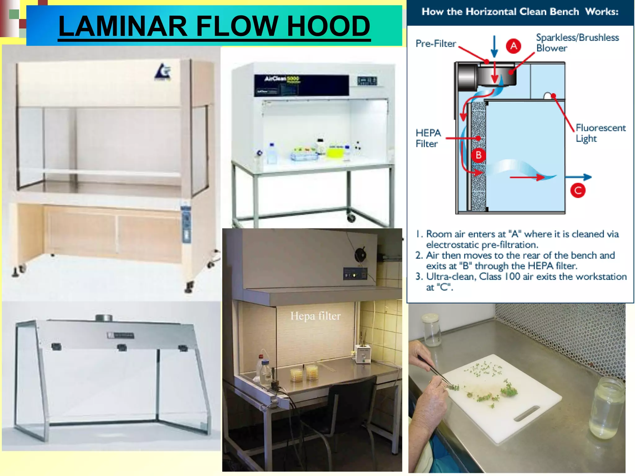 LAMINAR FLOW HOOD
 