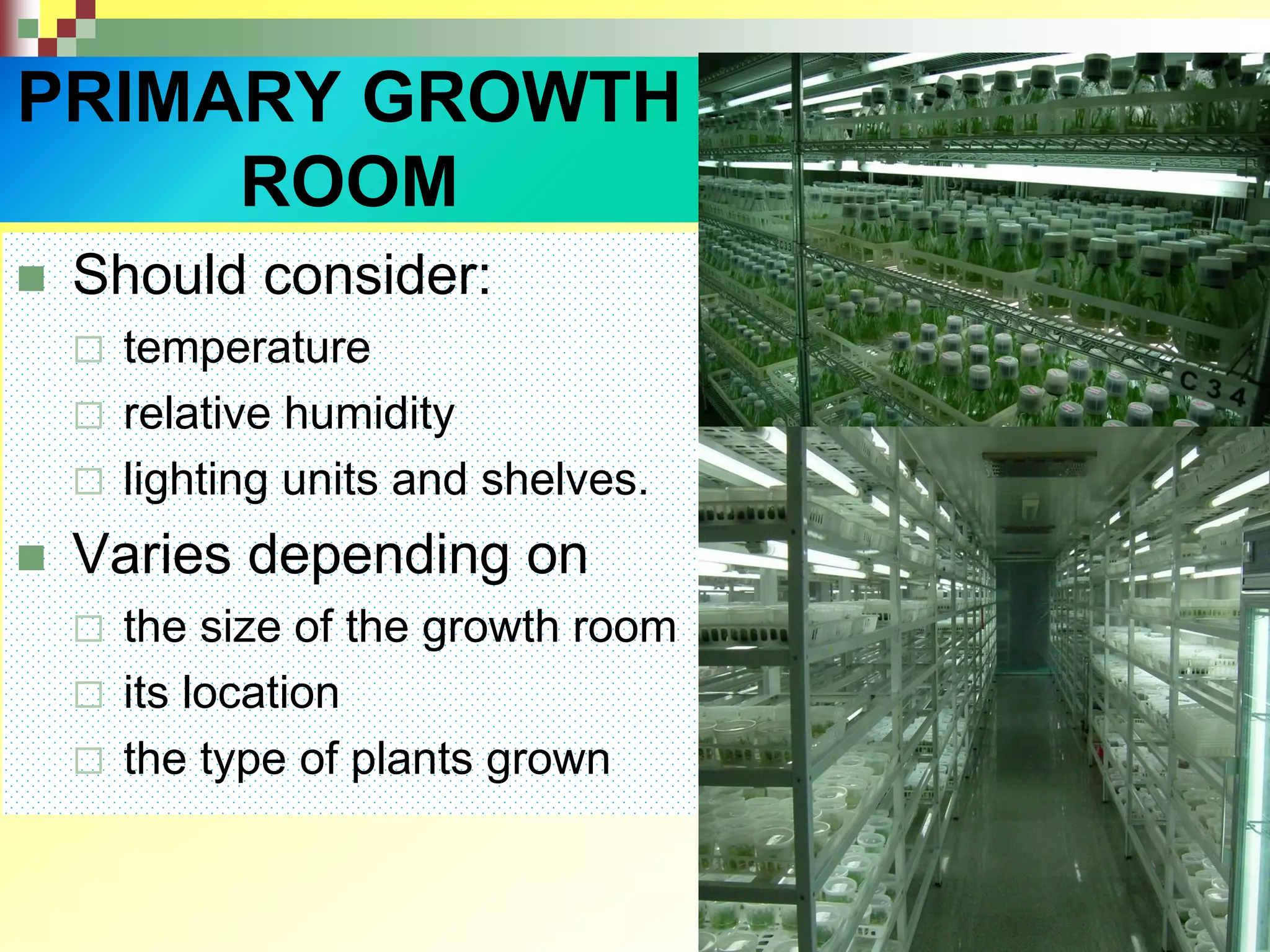 PRIMARY GROWTH
ROOM
 Should consider:
 temperature
 relative humidity
 lighting units and shelves.
 Varies depending on
 the size of the growth room
 its location
 the type of plants grown
 