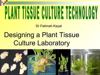 Designing a Plant Tissue
Culture Laboratory
Dr Fatimah Kayat
 