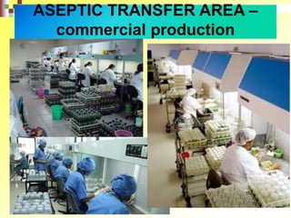 ASEPTIC TRANSFER AREA –
commercial production
 