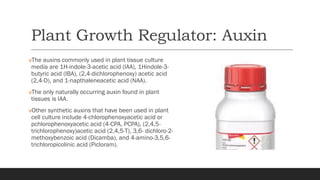 Media for Plant Tissue Culture Presentation Material | PDF