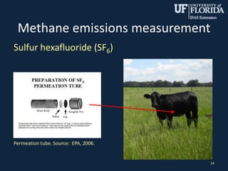 Methane emissions measurement
Sulfur hexafluoride (SF6)
14
Permeation tube. Source: EPA, 2006.
 