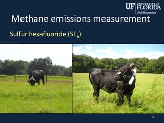 Methane emissions measurement
Sulfur hexafluoride (SF6)
16
 