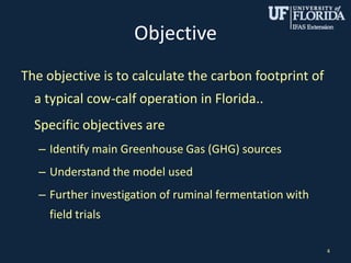 Objective
The objective is to calculate the carbon footprint of
a typical cow-calf operation in Florida..
Specific objectives are
– Identify main Greenhouse Gas (GHG) sources
– Understand the model used
– Further investigation of ruminal fermentation with
field trials
4
 