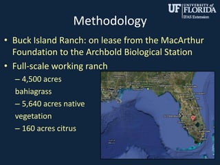 Methodology
• Buck Island Ranch: on lease from the MacArthur
Foundation to the Archbold Biological Station
• Full-scale working ranch
– 4,500 acres
bahiagrass
– 5,640 acres native
vegetation
– 160 acres citrus
5
 