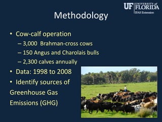 Methodology
• Cow-calf operation
– 3,000 Brahman-cross cows
– 150 Angus and Charolais bulls
– 2,300 calves annually
• Data: 1998 to 2008
• Identify sources of
Greenhouse Gas
Emissions (GHG)
6
 