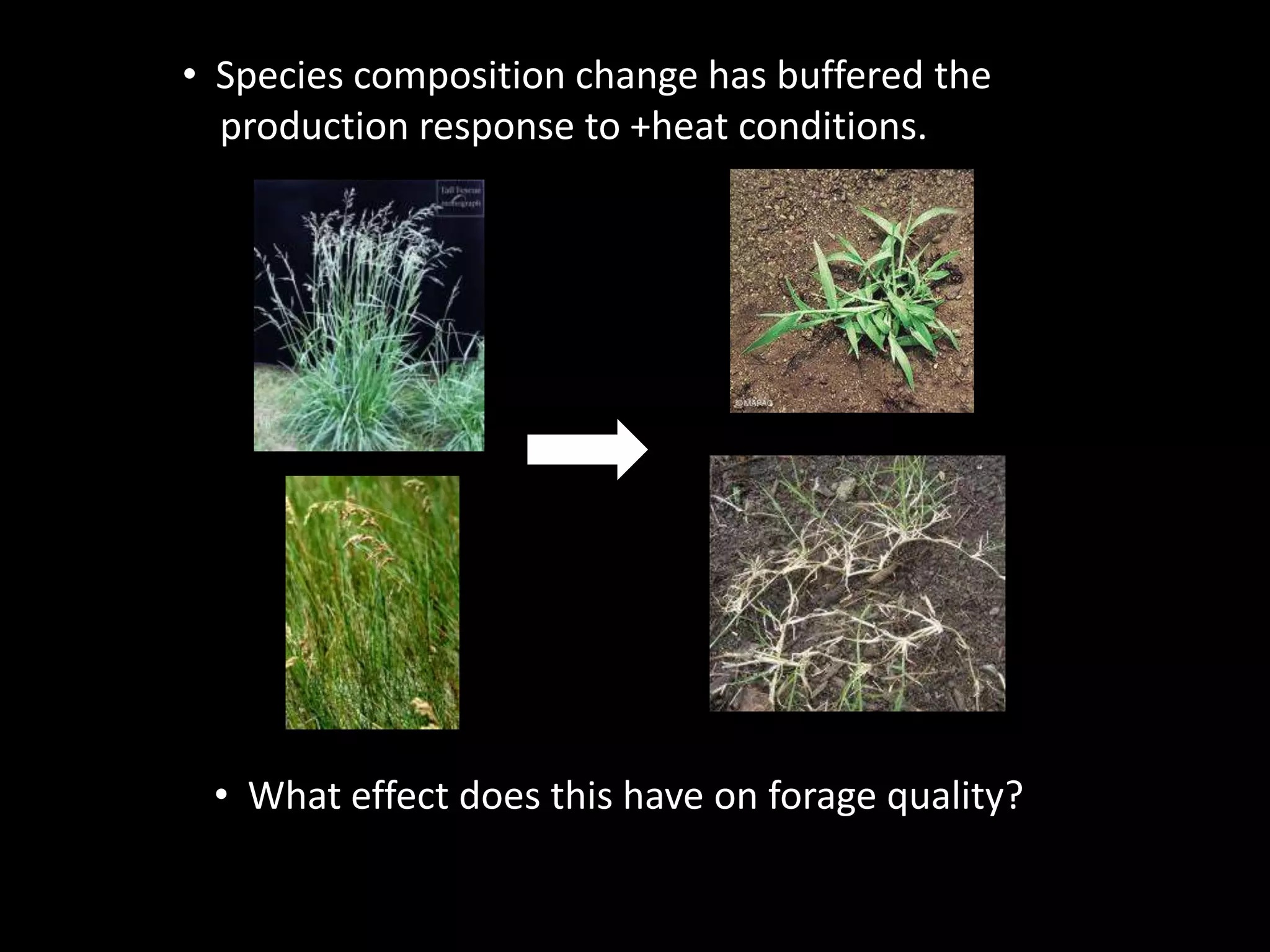 • Species composition change has buffered the
production response to +heat conditions.
• What effect does this have on forage quality?
 