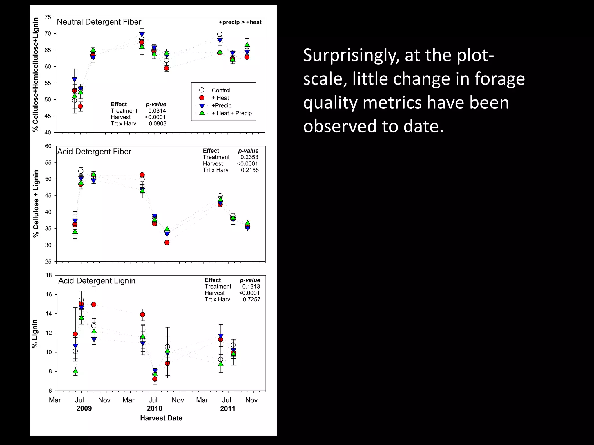 Surprisingly, at the plot-
scale, little change in forage
quality metrics have been
observed to date.
Neutral Detergent Fiber
%Cellulose+Hemicellulose+Lignin
40
45
50
55
60
65
70
75
Control
+ Heat
+Precip
+ Heat + Precip
Acid Detergent Fiber
%Cellulose+Lignin
25
30
35
40
45
50
55
60
Acid Detergent Lignin
Harvest Date
Mar Jul Nov Mar Jul Nov Mar Jul Nov
%Lignin
6
8
10
12
14
16
18
2009 2010 2011
Effect p-value
Treatment 0.0314
Harvest <0.0001
Trt x Harv 0.0803
Effect p-value
Treatment 0.1313
Harvest <0.0001
Trt x Harv 0.7257
Effect p-value
Treatment 0.2353
Harvest <0.0001
Trt x Harv 0.2156
+precip > +heat
 
