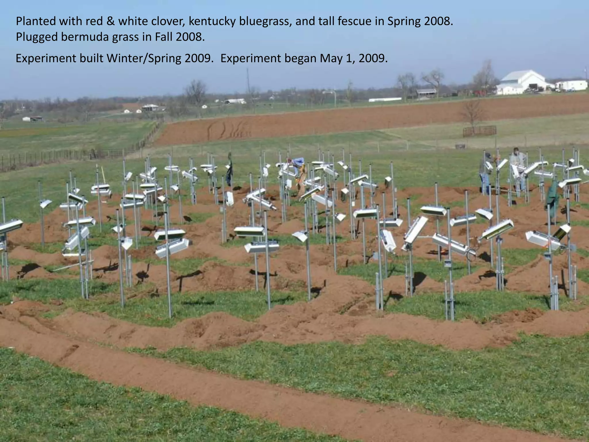 Planted with red & white clover, kentucky bluegrass, and tall fescue in Spring 2008.
Plugged bermuda grass in Fall 2008.
Experiment built Winter/Spring 2009. Experiment began May 1, 2009.
 