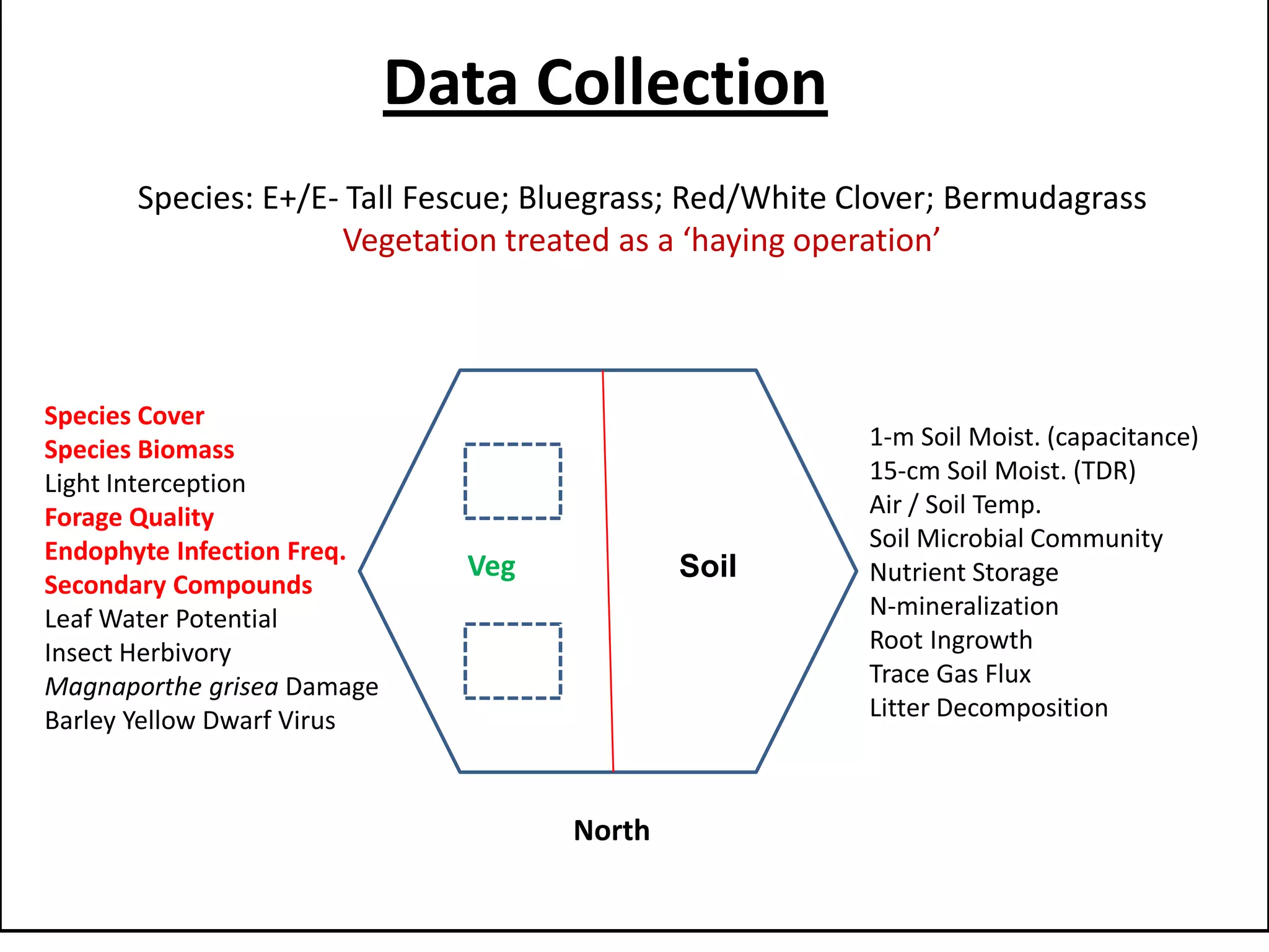 Veg Soil
North
Data Collection
Species Cover
Species Biomass
Light Interception
Forage Quality
Endophyte Infection Freq.
Secondary Compounds
Leaf Water Potential
Insect Herbivory
Magnaporthe grisea Damage
Barley Yellow Dwarf Virus
Species: E+/E- Tall Fescue; Bluegrass; Red/White Clover; Bermudagrass
Vegetation treated as a ‘haying operation’
1-m Soil Moist. (capacitance)
15-cm Soil Moist. (TDR)
Air / Soil Temp.
Soil Microbial Community
Nutrient Storage
N-mineralization
Root Ingrowth
Trace Gas Flux
Litter Decomposition
 