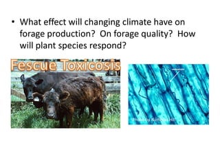 • What effect will changing climate have on
forage production? On forage quality? How
will plant species respond?
Photo by Nicholas Hill
 