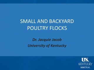 SMALL AND BACKYARD
POULTRY FLOCKS
Dr. Jacquie Jacob
University of Kentucky
 