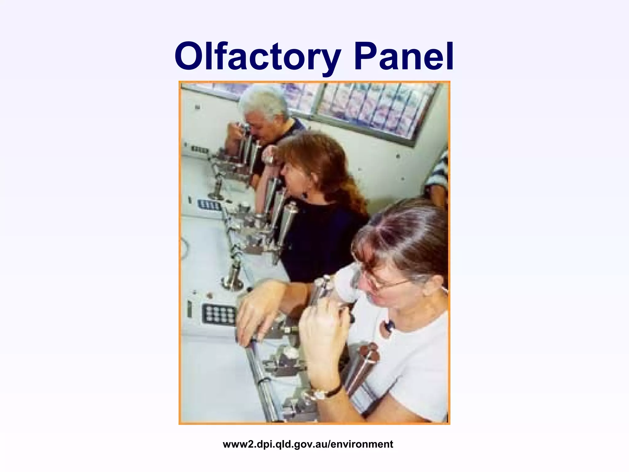 Olfactory Panel
www2.dpi.qld.gov.au/environment
 