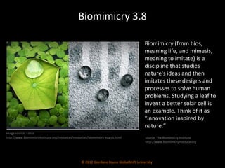 Biomimicry 3.8 © 2012 Giordano Bruno GlobalShift University Biomimicry (from bios, meaning life, and mimesis, meaning to imitate) is a discipline that studies nature's ideas and then imitates these designs and processes to solve human problems. Studying a leaf to invent a better solar cell is an example. Think of it as "innovation inspired by nature.”  Image source: Lotus http://www.biomimicryinstitute.org/resources/resources/biomimicry-ecards.html source: The Biomimicry Institute  http://www.biomimicryinstitute.org 
