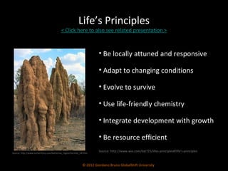 Life’s Principles < Click here to also see related presentation > © 2012 Giordano Bruno GlobalShift University Be locally attuned and responsive Adapt to changing conditions Evolve to survive  Use life-friendly chemistry  Integrate development with growth  Be resource efficient Source: http://www.wix.com/kat725/lifes-principles#!life's-principles Source: http://www.ourterritory.com/katherine_region/termite_hill.htm 