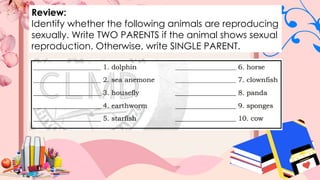 Review:
Identify whether the following animals are reproducing
sexually. Write TWO PARENTS if the animal shows sexual
reproduction. Otherwise, write SINGLE PARENT.
 