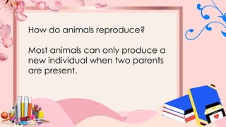 How do animals reproduce?
Most animals can only produce a
new individual when two parents
are present.
 