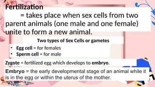Fertilization
= takes place when sex cells from two
parent animals (one male and one female)
unite to form a new animal.
Two types of Sex Cells or gametes
• Egg cell = for females
• Sperm cell = for male
Zygote = fertilized egg which develops to embryo.
Embryo = the early developmental stage of an animal while it
is in the egg or within the uterus of the mother.
 
