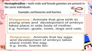 Hermaphrodites = both male and female gametes are present in
the same individuals.
Example; earthworms and leeches
 