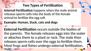 Internal Fertilization happens when the male animal
releases sperm cells into the body of the female
animal to fertilize the egg cell.
Example: Human, Duck, cats and dogs
External Fertilization occurs outside the bodies of
the parents. The female releases eggs into the water
or attaches them to a plant or rock. The male then
releases sperm cells over the eggs to fertilize them.
Most frogs and fishes undergo external fertilization.
Two Types of Fertilization
 