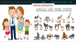 INTERNAL FERTILIZATION
 