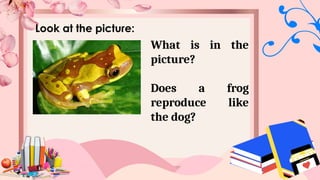 Look at the picture:
What is in the
picture?
Does a frog
reproduce like
the dog?
 