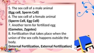 5. The sex cell of a male animal
(Egg cell, Sperm Cell)
6. The sex cell of a female animal
(Sperm Cell, Egg Cell)
7. Another term for fertilized egg
(Gametes, Zygotes)
8. Fertilization that takes place when the
union of the sex cells happens outside the
body.
(Internal Fertilization, External Fertilization)
 