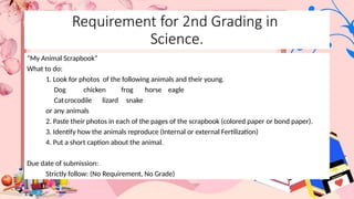 “My Animal Scrapbook”
What to do:
1. Look for photos of the following animals and their young.
Dog chicken frog horse eagle
Catcrocodile lizard snake
or any animals
2. Paste their photos in each of the pages of the scrapbook (colored paper or bond paper).
3. Identify how the animals reproduce (Internal or external Fertilization)
4. Put a short caption about the animal.
Due date of submission:
Strictly follow: (No Requirement, No Grade)
Requirement for 2nd Grading in
Science.
 