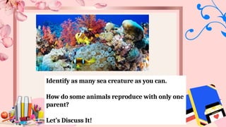 Identify as many sea creature as you can.
How do some animals reproduce with only one
parent?
Let’s Discuss It!
 