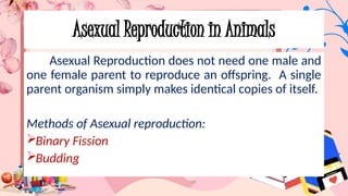 Asexual Reproduction in Animals
Asexual Reproduction does not need one male and
one female parent to reproduce an offspring. A single
parent organism simply makes identical copies of itself.
Methods of Asexual reproduction:
Binary Fission
Budding
 