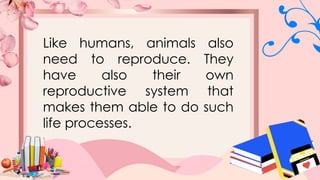 Like humans, animals also
need to reproduce. They
have also their own
reproductive system that
makes them able to do such
life processes.
 