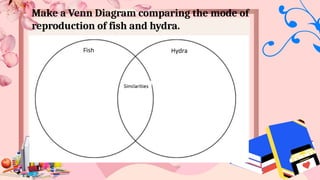 Make a Venn Diagram comparing the mode of
reproduction of fish and hydra.
 