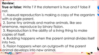 Review:
True or false: Write T if the statement is true and F false if
not.
1. Asexual reproduction is making a copy of the organism
with a single parent.
2. Some tiny animals and marine animals, like sea
anemone, reproduce by binary fission.
3. Reproduction is the ability of a living thing to make
copies of itself.
4. Budding happens when the parent animal divides itself
into two.
5. Fission happens when an outgrowth of the parent
animal develops into new animal.
 