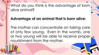 What do you think is the advantage of born
alive animal?
Advantage of an animal that is born alive:
The mother can concentrate on taking care
of only few young. Even in the womb, one
or two young will be able to receive proper
nourishment from the mother.
 