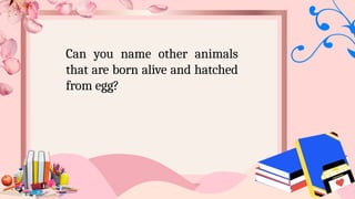 Can you name other animals
that are born alive and hatched
from egg?
 