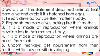 Draw a star if the statement described animals that
born alive and circle if it’s hatched from eggs.
1. Insects develop outside their mother’s body.
2. Elephants are born alive, looking like their mother.
3. It is a mode of reproduction where animals
develop inside their mother’s body.
4. It is a mode of reproduction where animals are
hatch from shell.
5. Unborn monkeys get nourishment from their
mother while they are still developing.
 