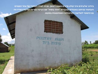 ביודעי שלעיתים איני קולט פרטים במבט ראשון .  פניתי לצידו האחורי של אחד המבנים והבחנתי בכיתוב באנגלית ובעברית  " חוות עופות "  שם נערכה כנראה שחיטה כשרה וזה גם ההסבר לשלושת התרנגולות המסתובבות במקום .  