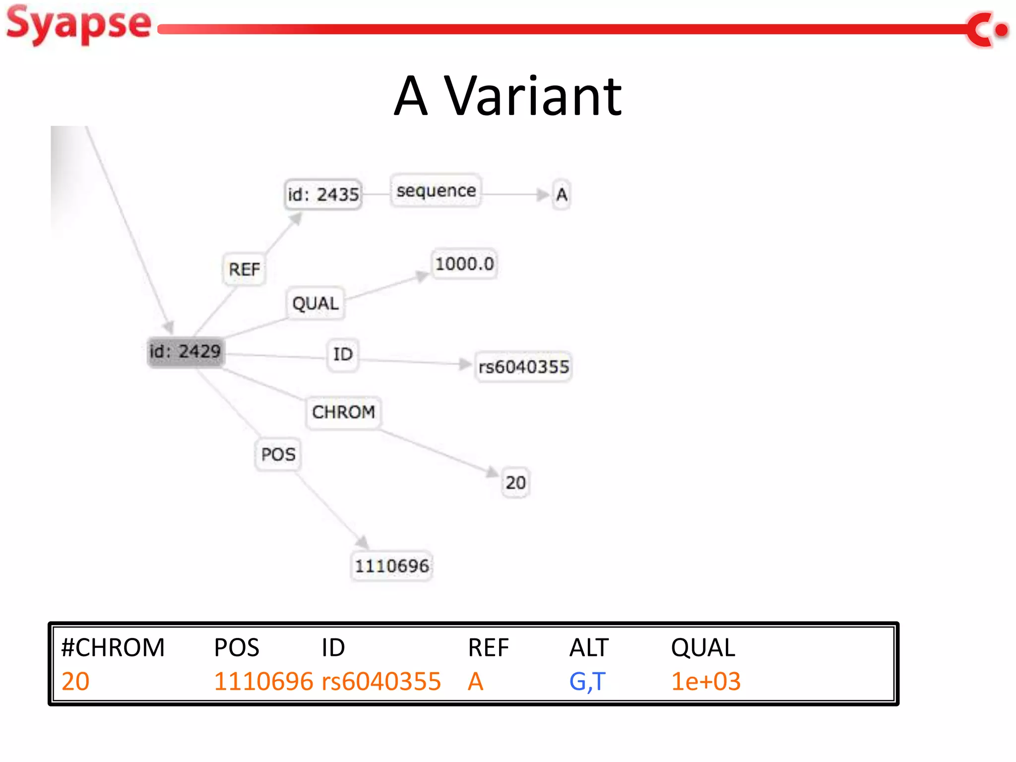 A Variant




#CHROM   POS     ID        REF   ALT   QUAL
20       1110696 rs6040355 A     G,T   1e+03
 