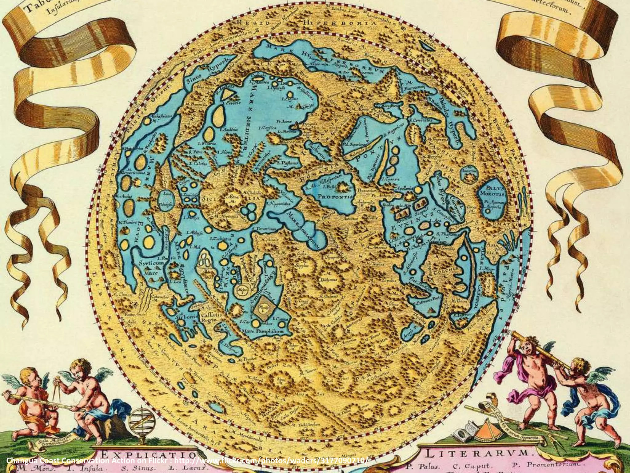 Changua Coast Conservation Action on Flickr : http://www.flickr.com/photos/waders/3177090710/