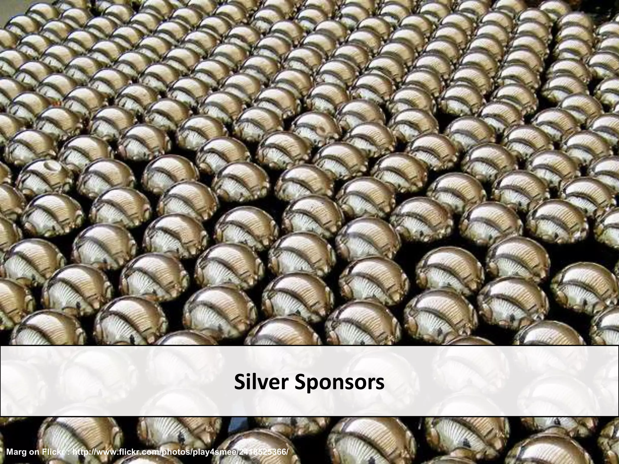 Silver SponsorsMarg on Flickr : http://www.flickr.com/photos/play4smee/2418525366/