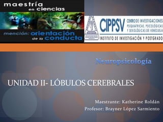 Maestrante: Katherine Roldán
Profesor: Brayner López Sarmiento
UNIDAD II- LÓBULOS CEREBRALES
 