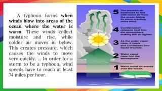 A typhoon forms when
winds blow into areas of the
ocean where the water is
warm. These winds collect
moisture and rise, while
colder air moves in below.
This creates pressure, which
causes the winds to move
very quickly. ... In order for a
storm to be a typhoon, wind
speeds have to reach at least
74 miles per hour.
 