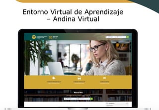 Entorno Virtual de Aprendizaje
– Andina Virtual
 